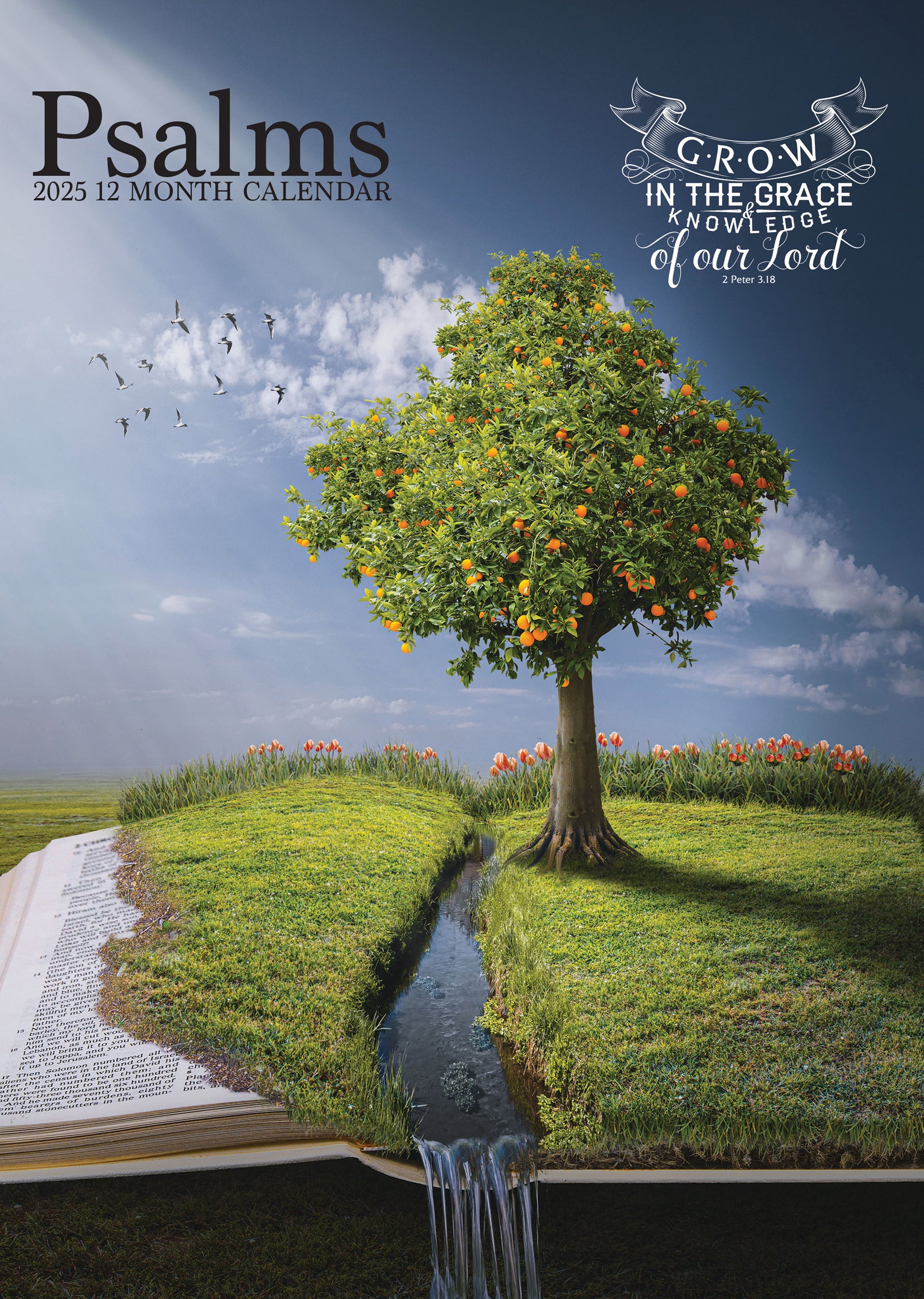 Psalms Calendar 2025 CalendarsRus