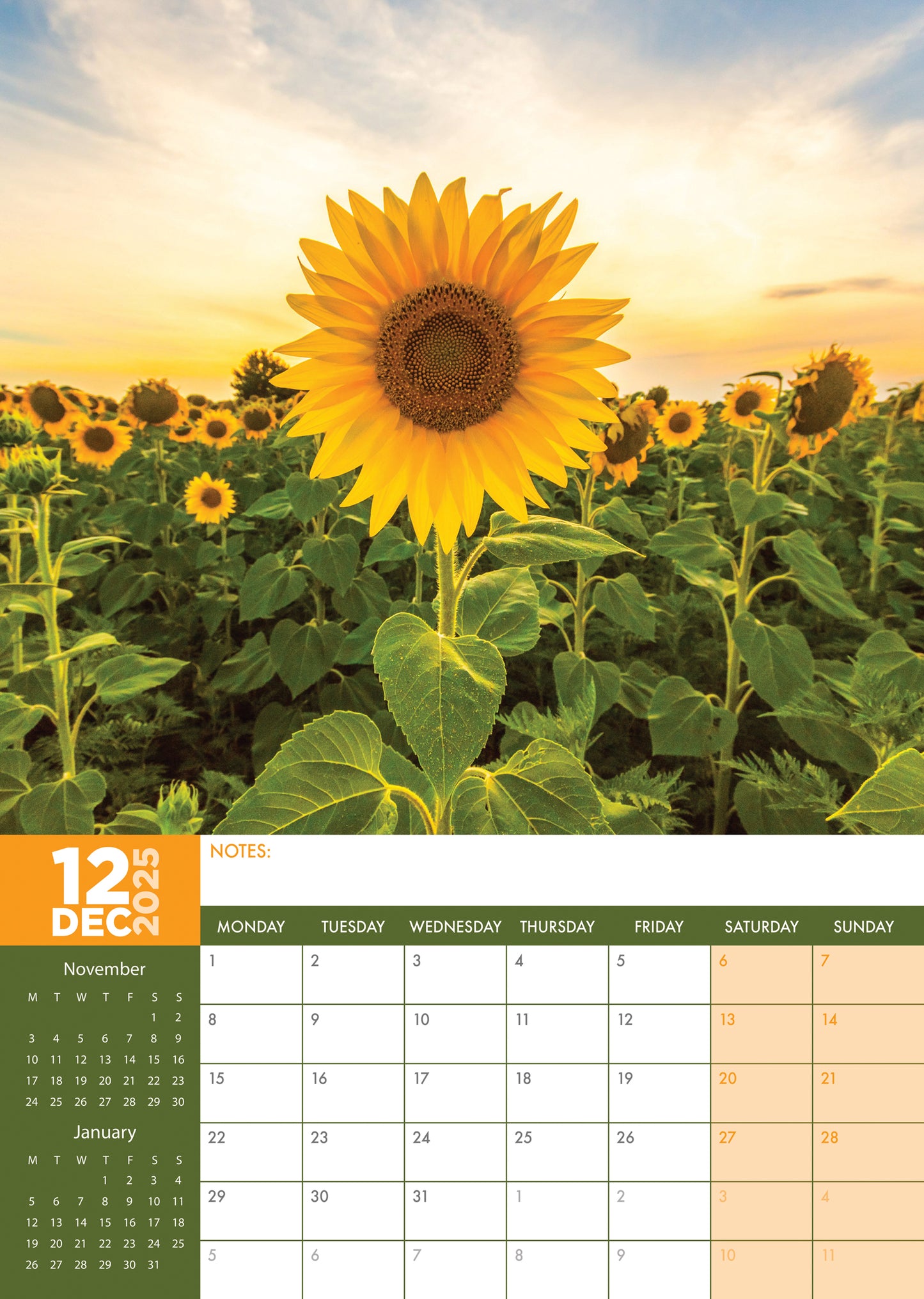 Sunflowers Calendar 2025 – CalendarsRus sunflowers-calendar-2025-calendarsrus