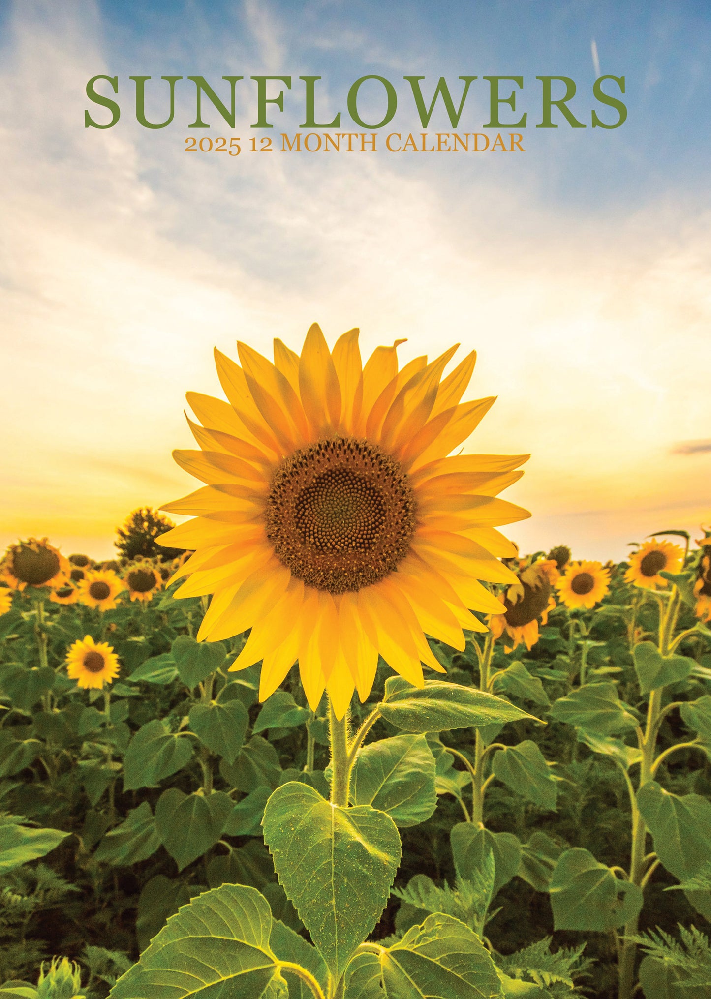 Sunflowers Calendar 2025