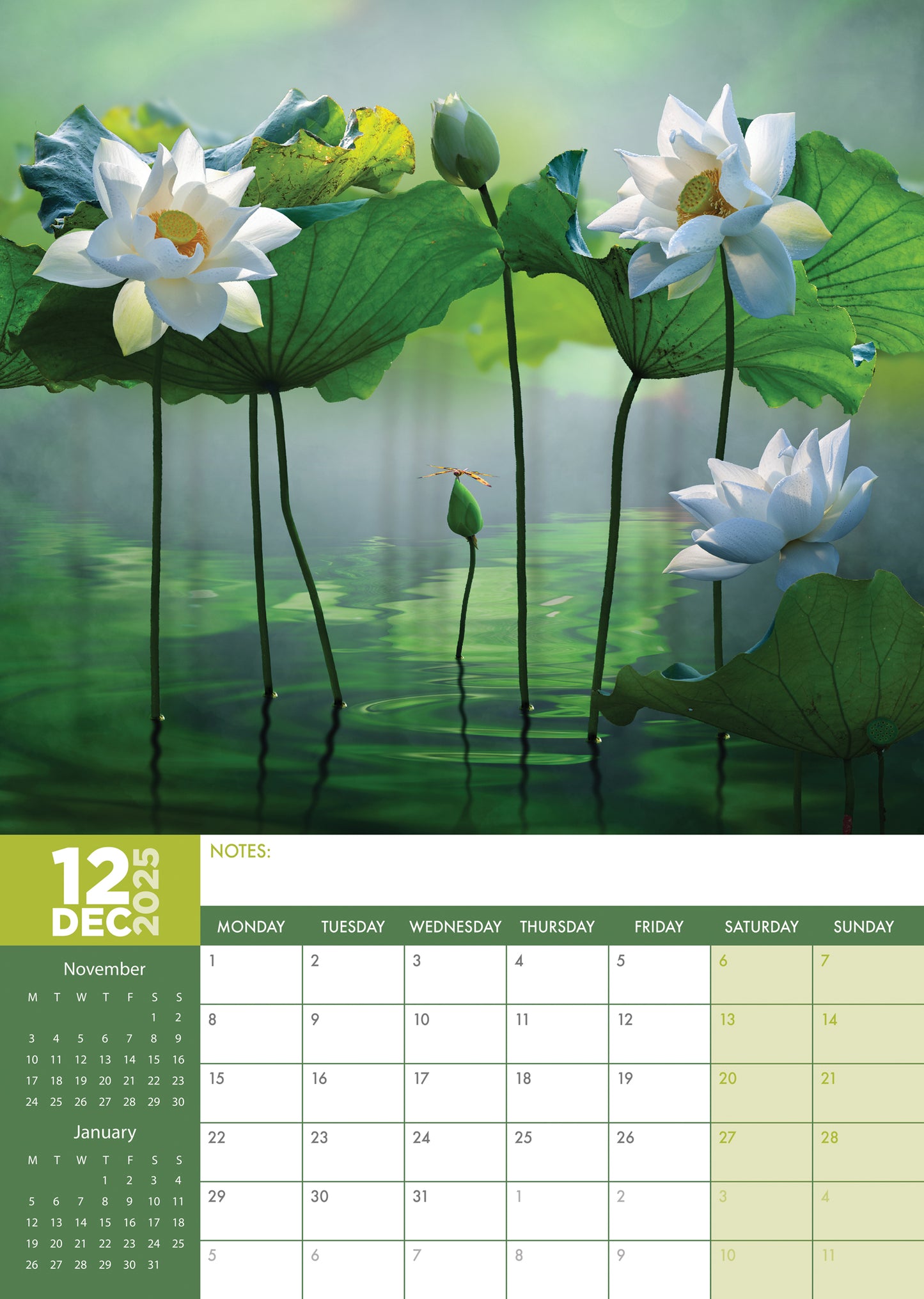 Tranquility Calendar 2025