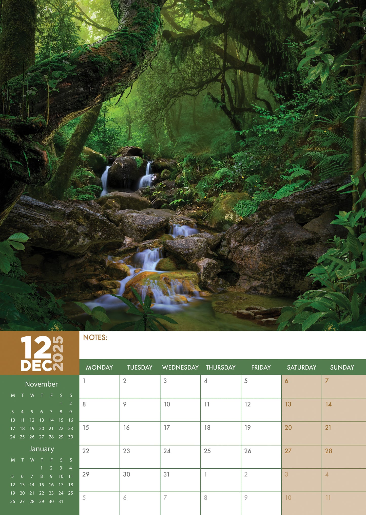 Deep Forest Calendar 2025