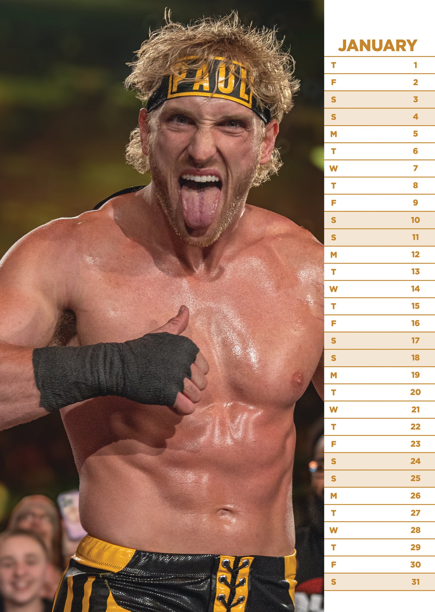 Logan Paul - A3 Calendar 2026