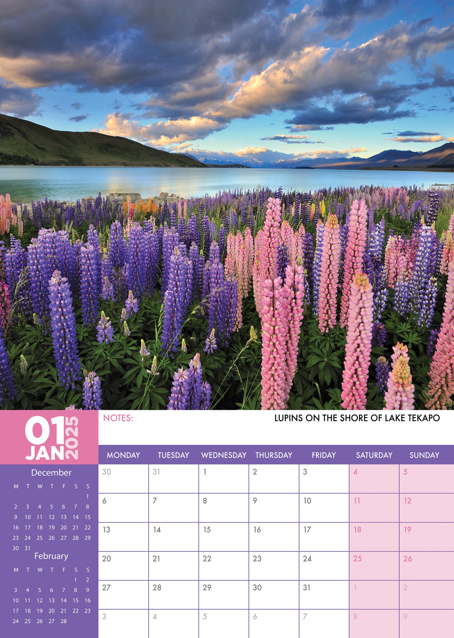 New Zealand Calendar 2025