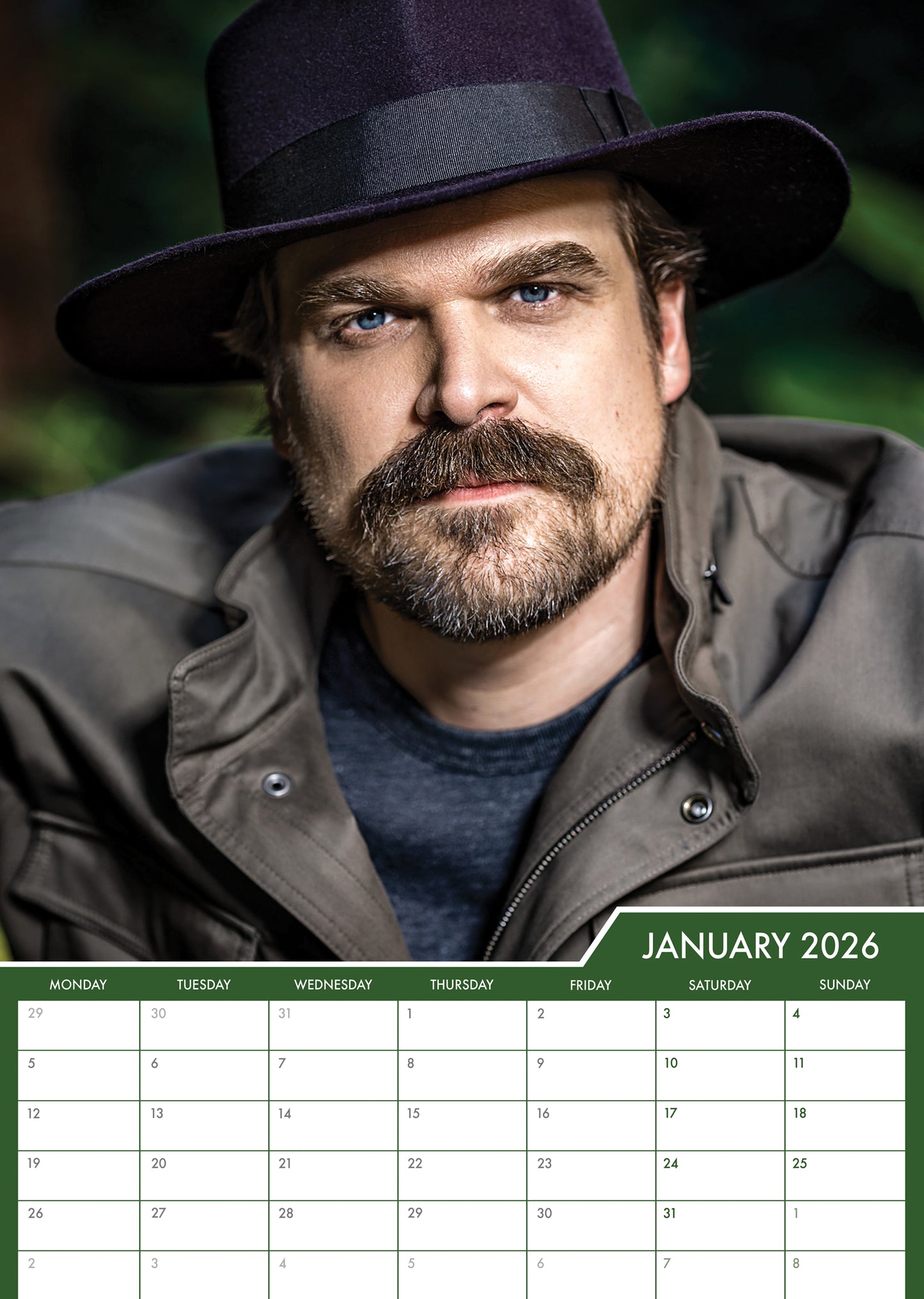 David Harbour - A3 Calendar 2026