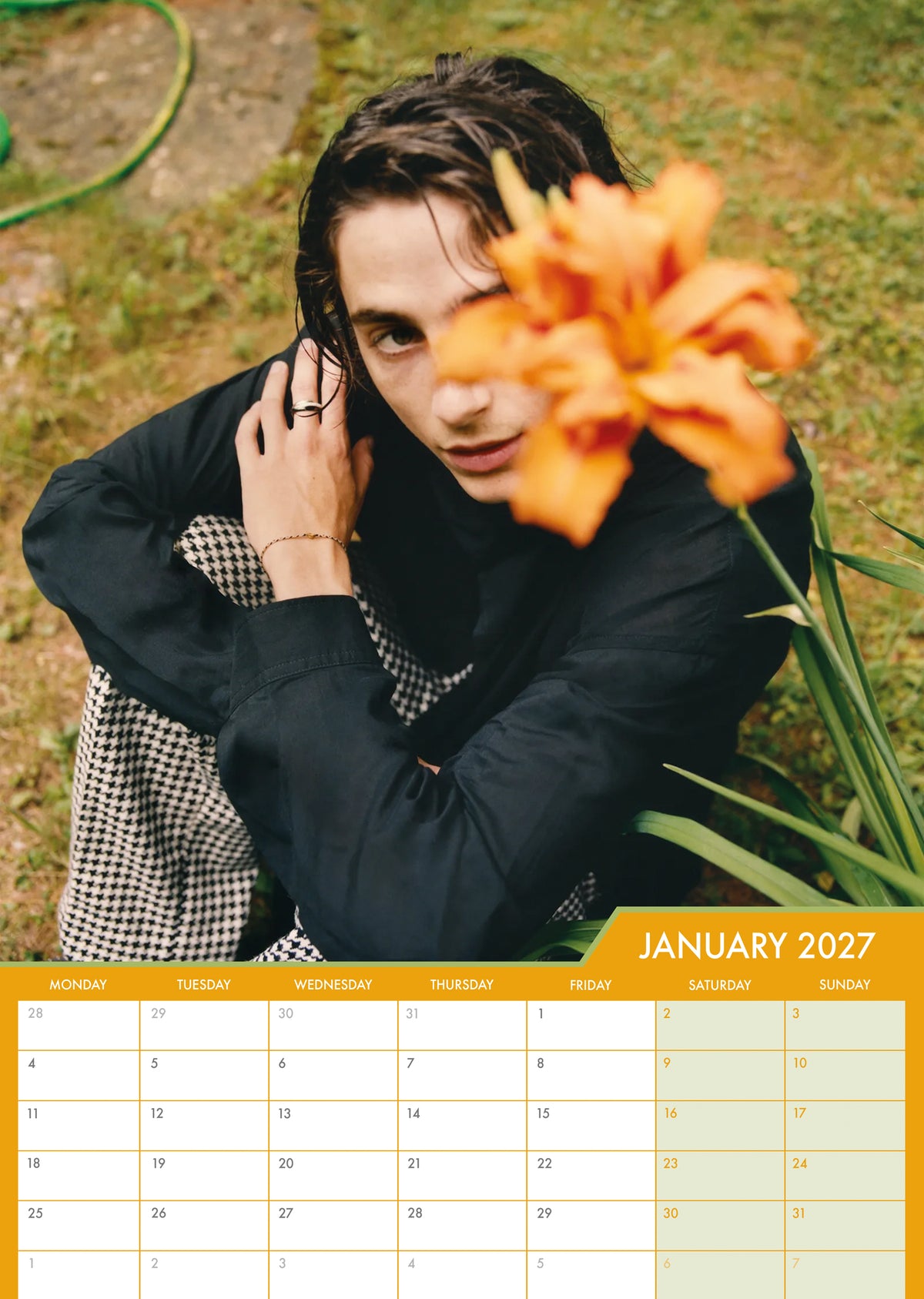 Timothee Chalamet - A3 Calendar 2027