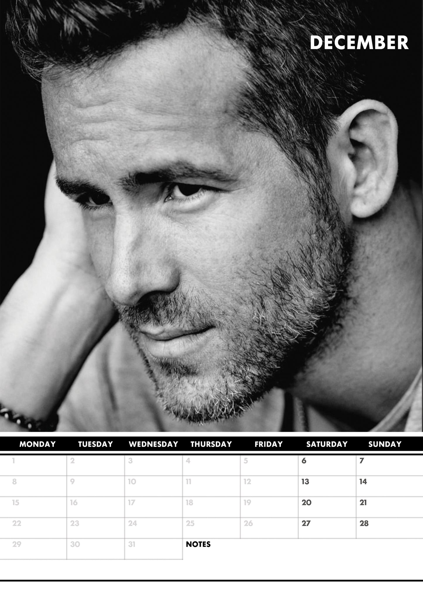 Ryan Reynolds Calendar & Postcards 2025