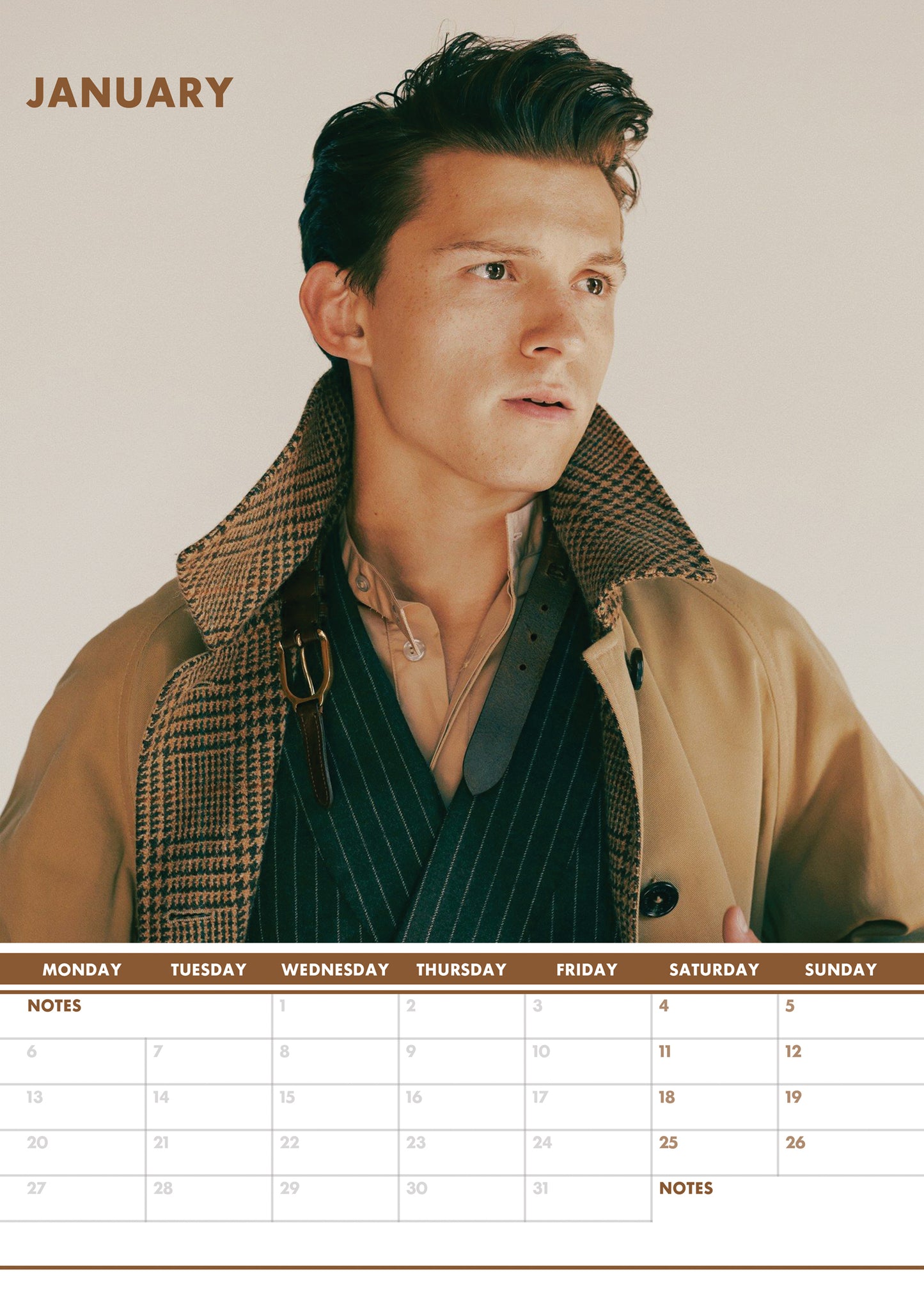 Tom Holland Calendar & Postcards 2025