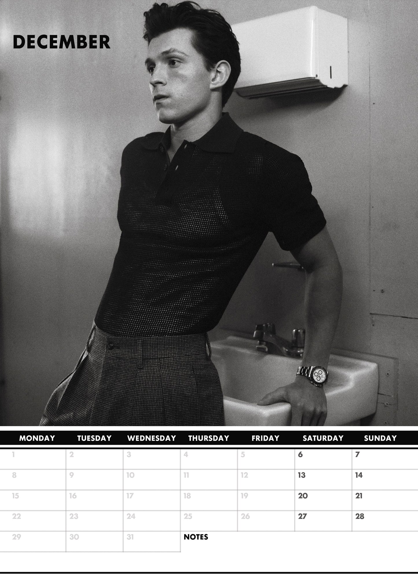 Tom Holland Calendar & Postcards 2025