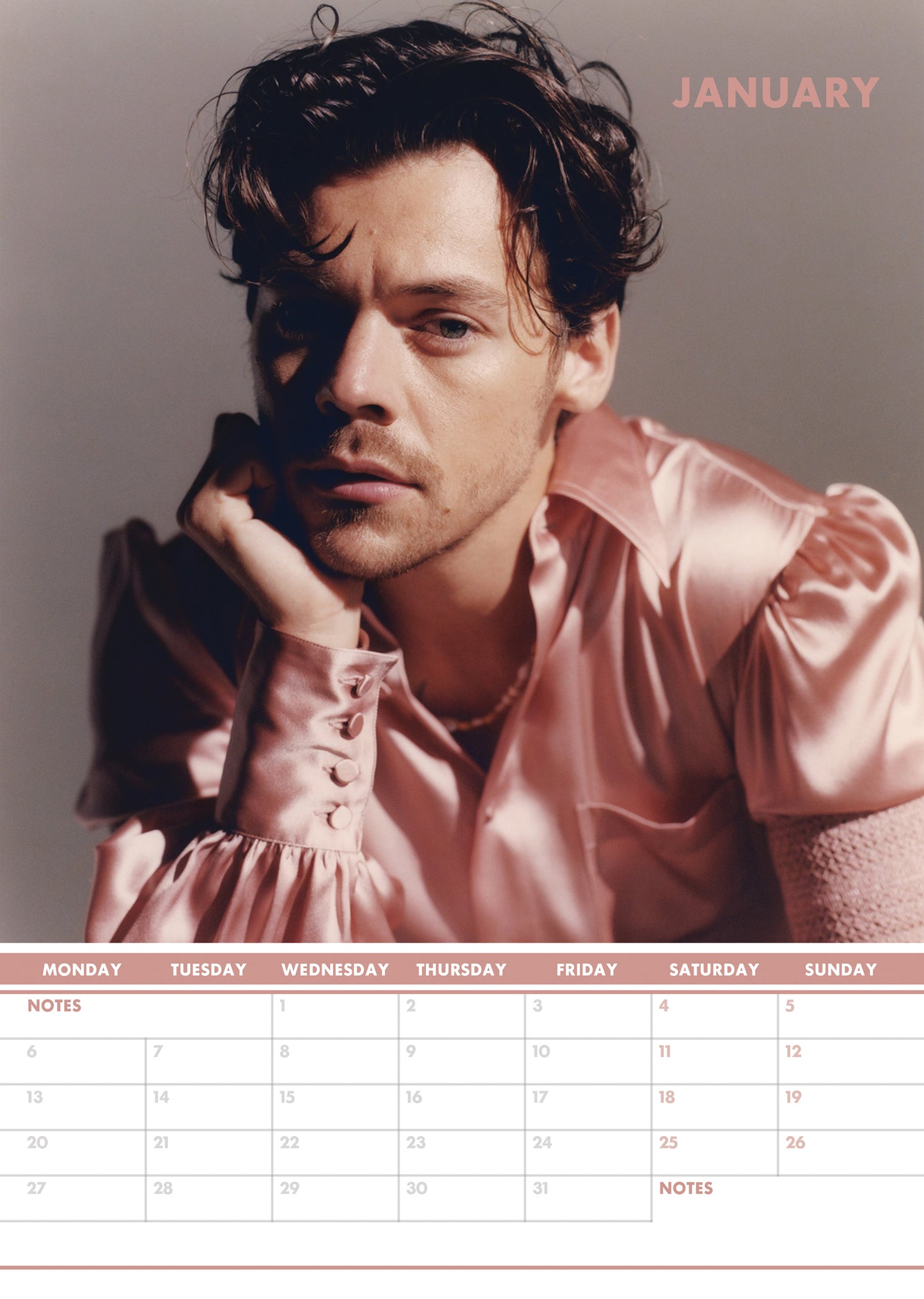 Harry Styles Calendar & Postcards 2025