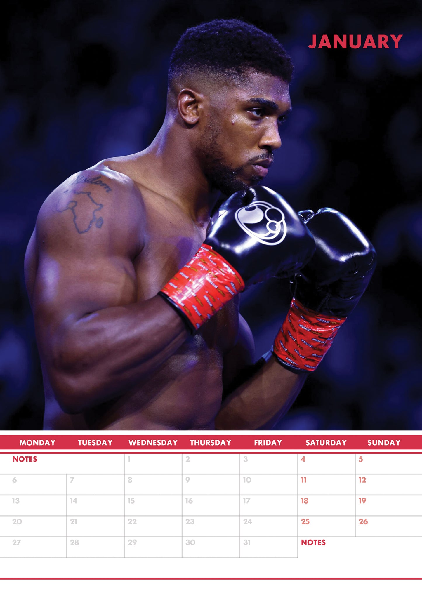 Anthony Joshua Calendar 2025