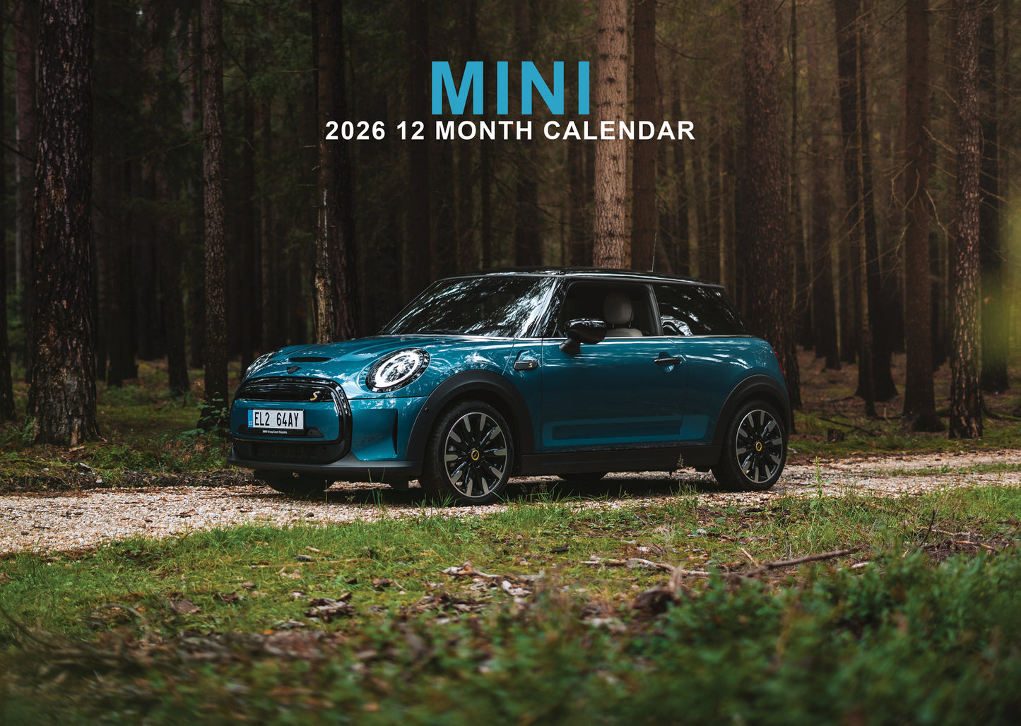 Mini - A3 Calendar 2026