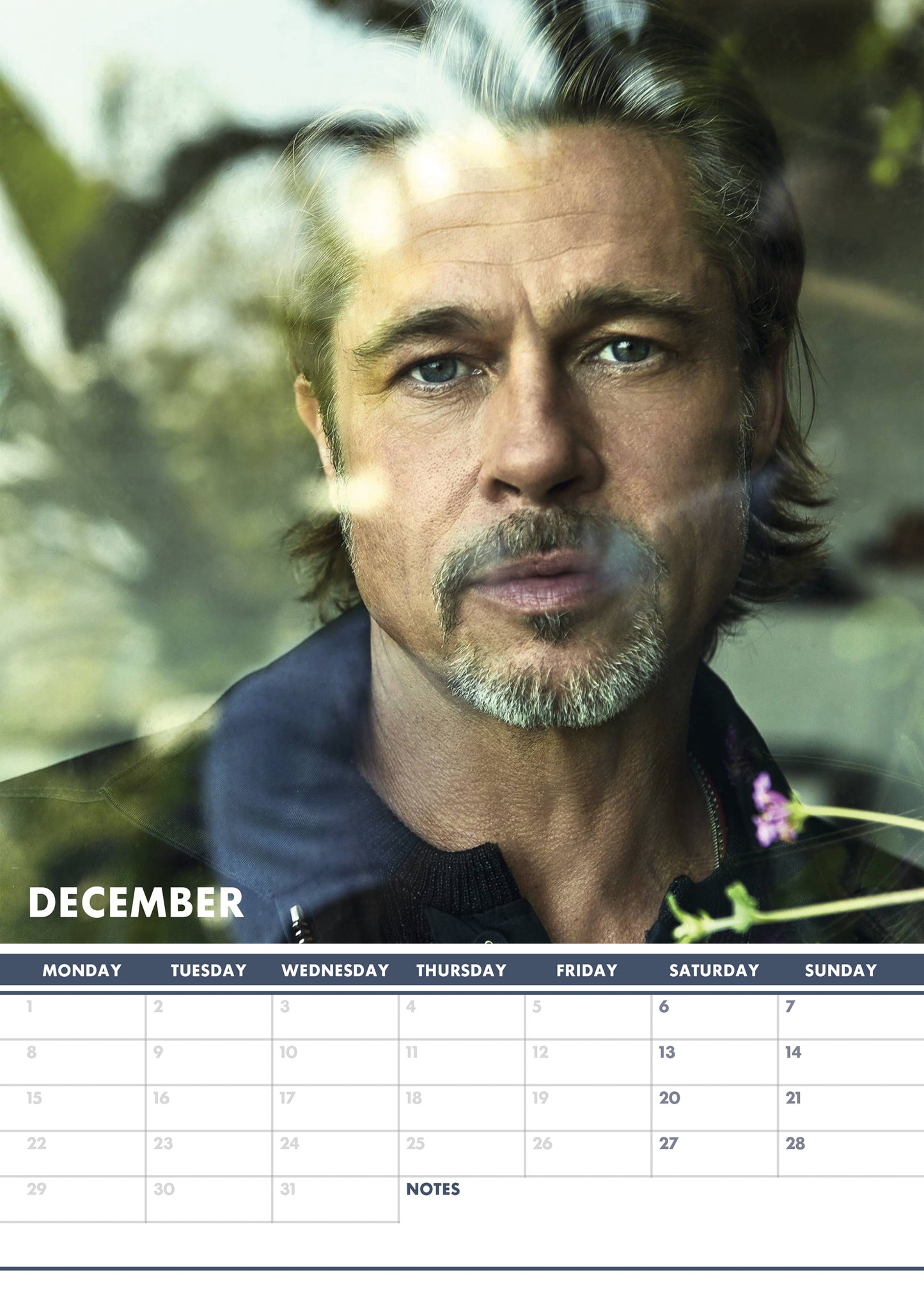 Brad Pitt Calendar 2025