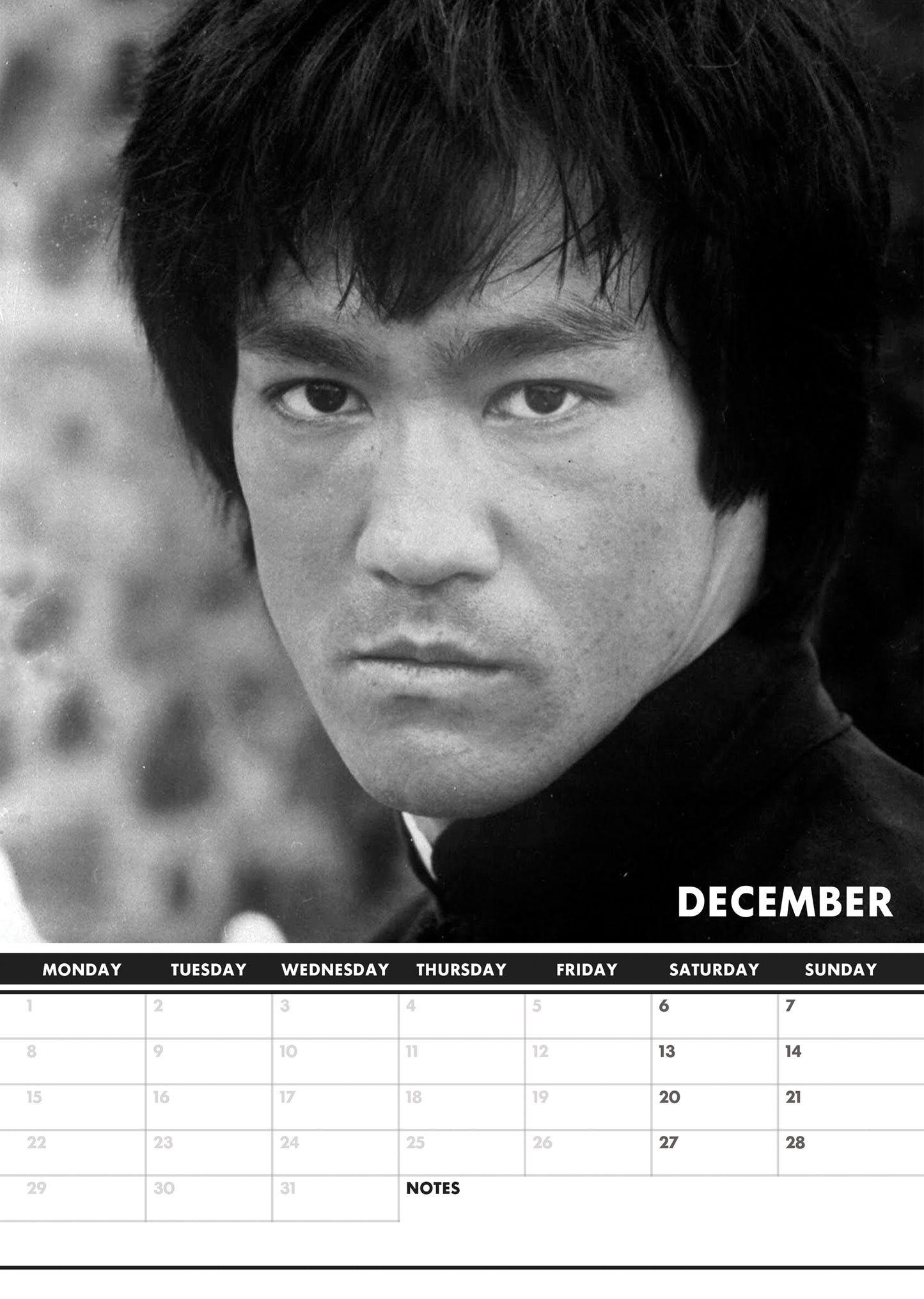 Bruce Lee Calendar 2025 CalendarsRus