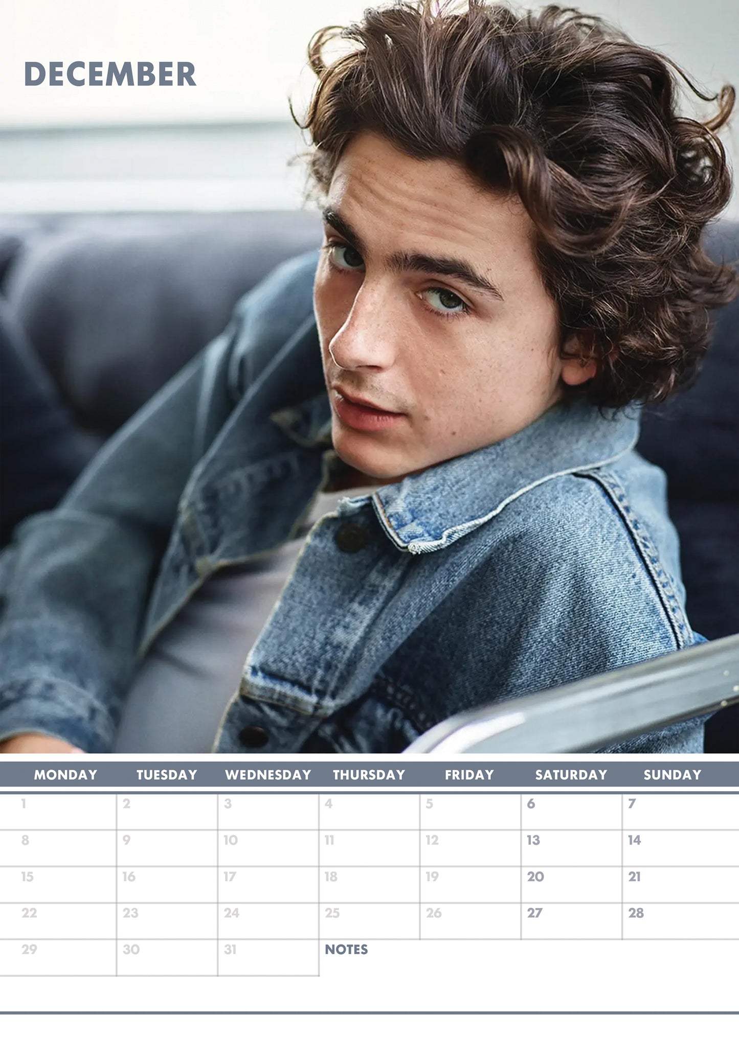 Timothee Chalamet Calendar 2025