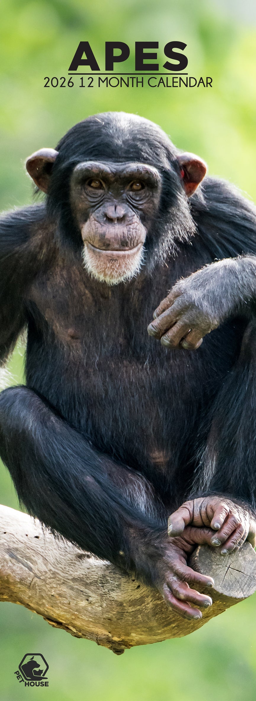 Apes - Slim Calendar 2026