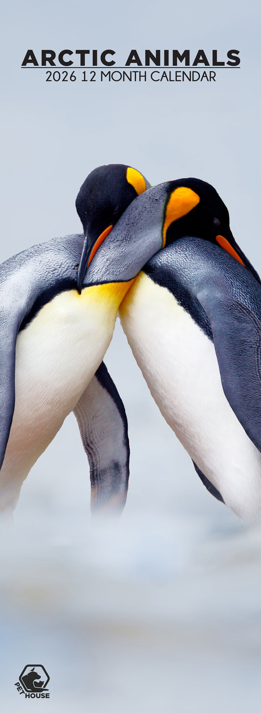 Arctic Animals - Slim Calendar 2026