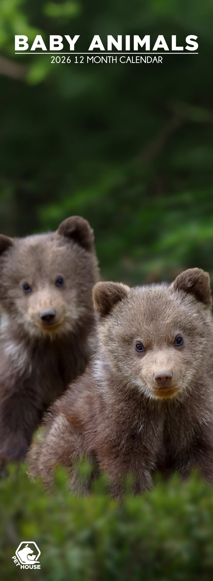 Baby Animals - Slim Calendar 2026