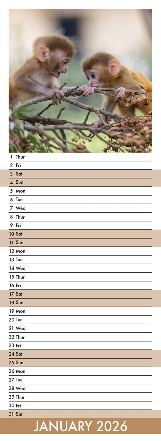 Baby Animals - Slim Calendar 2026