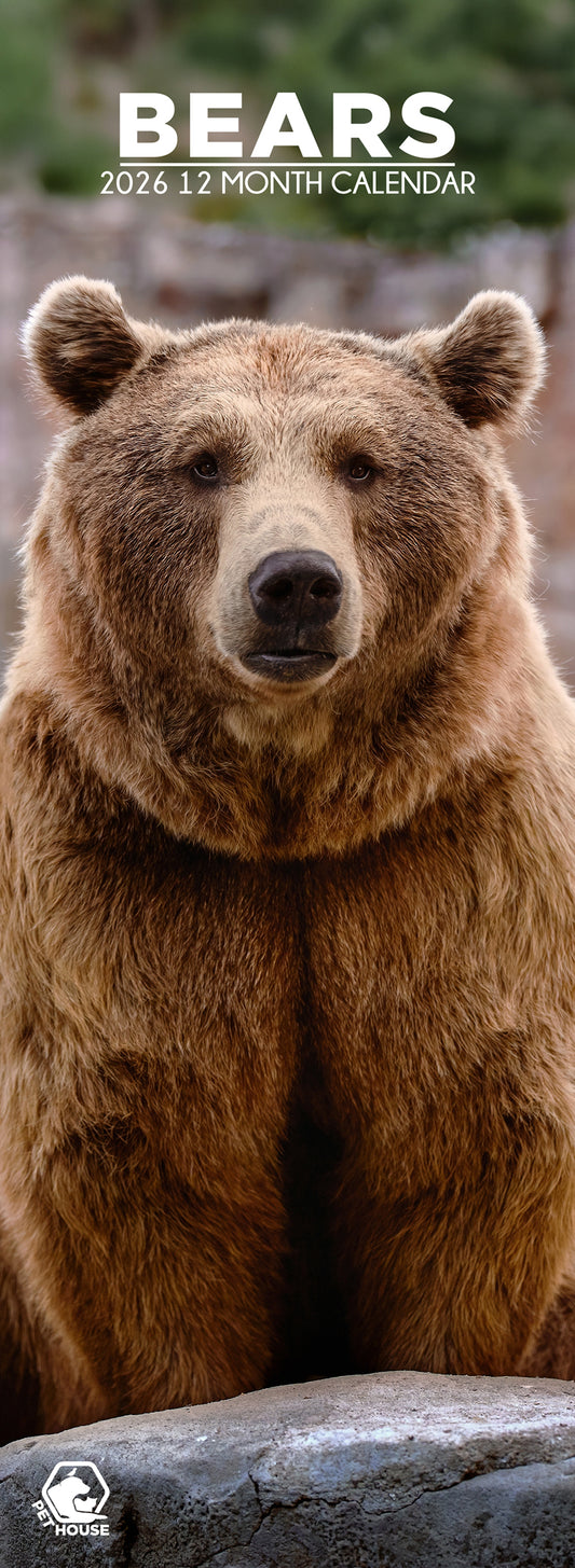 Bears - Slim Calendar 2026