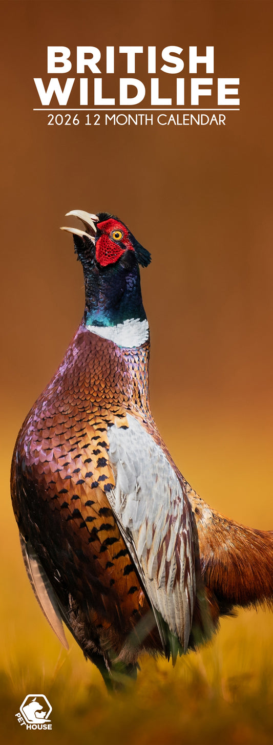 British Wildlife - Slim Calendar 2026