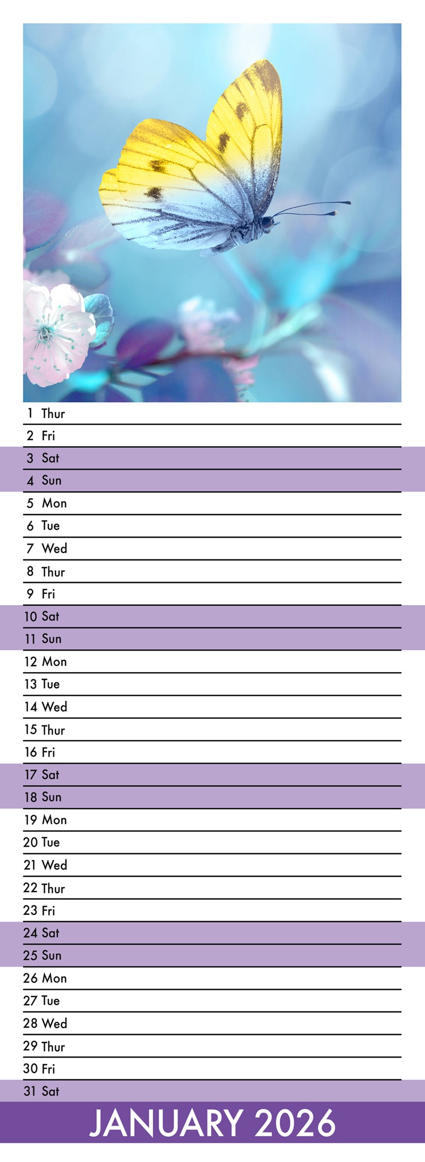 Butterflies - Slim Calendar 2026