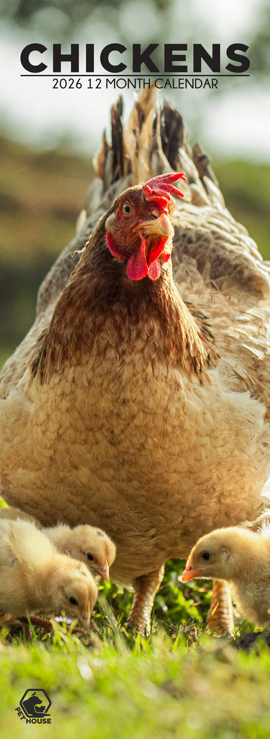 Chickens - Slim Calendar 2026