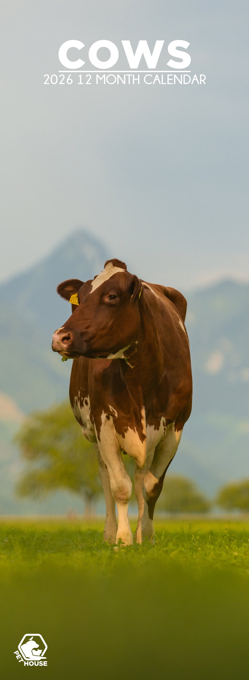 Cows - Slim Calendar 2026