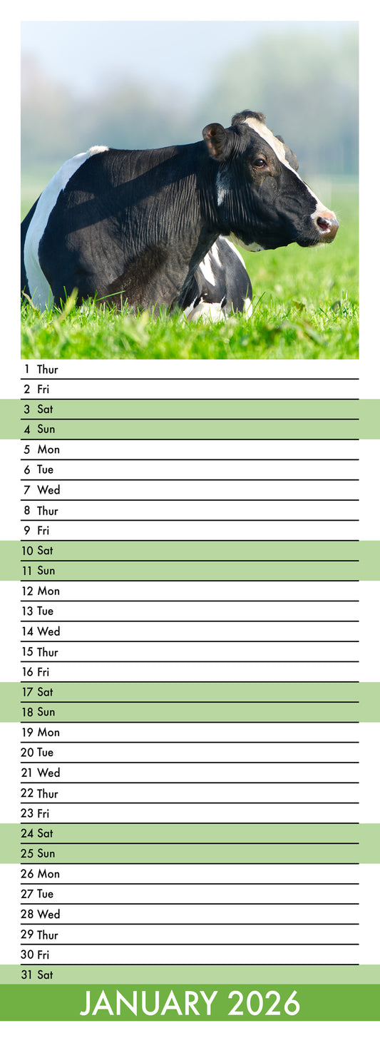 Cows - Slim Calendar 2026