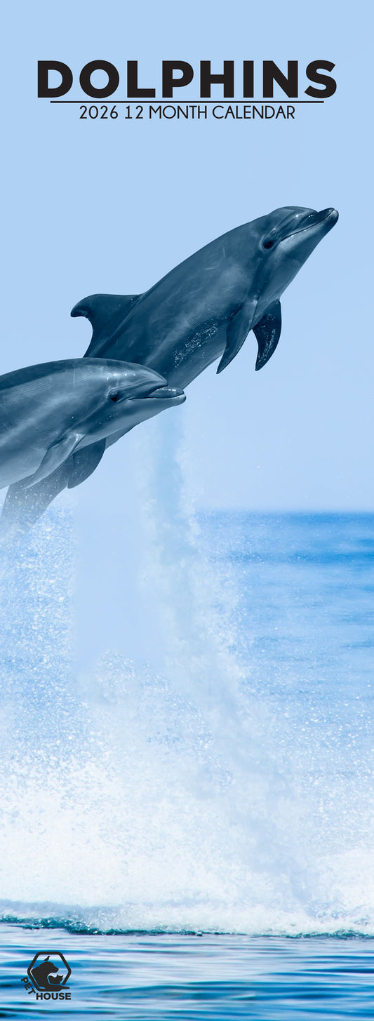 Dolphins - Slim Calendar 2026