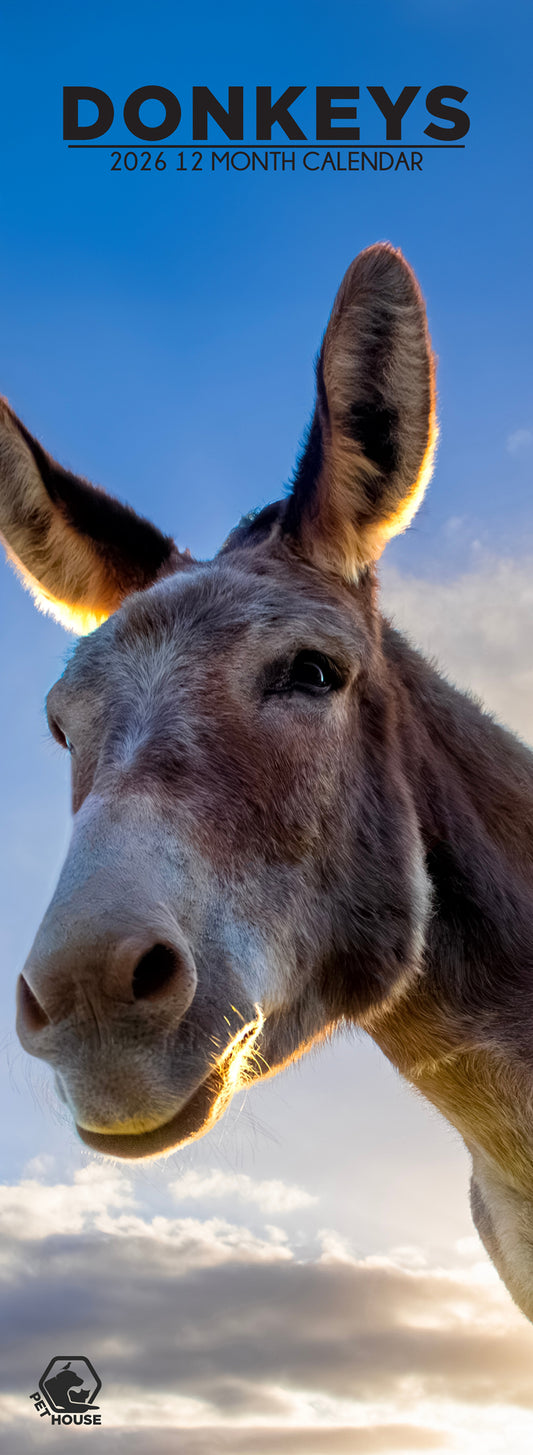 Donkeys - Slim Calendar 2026