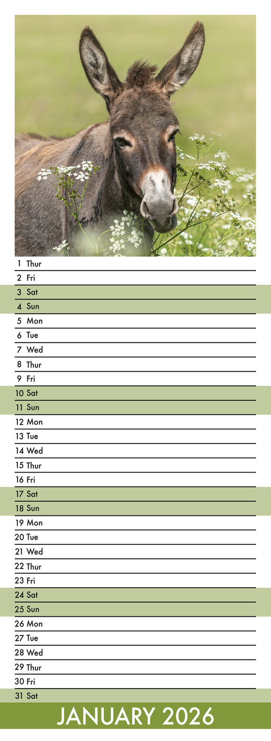 Donkeys - Slim Calendar 2026