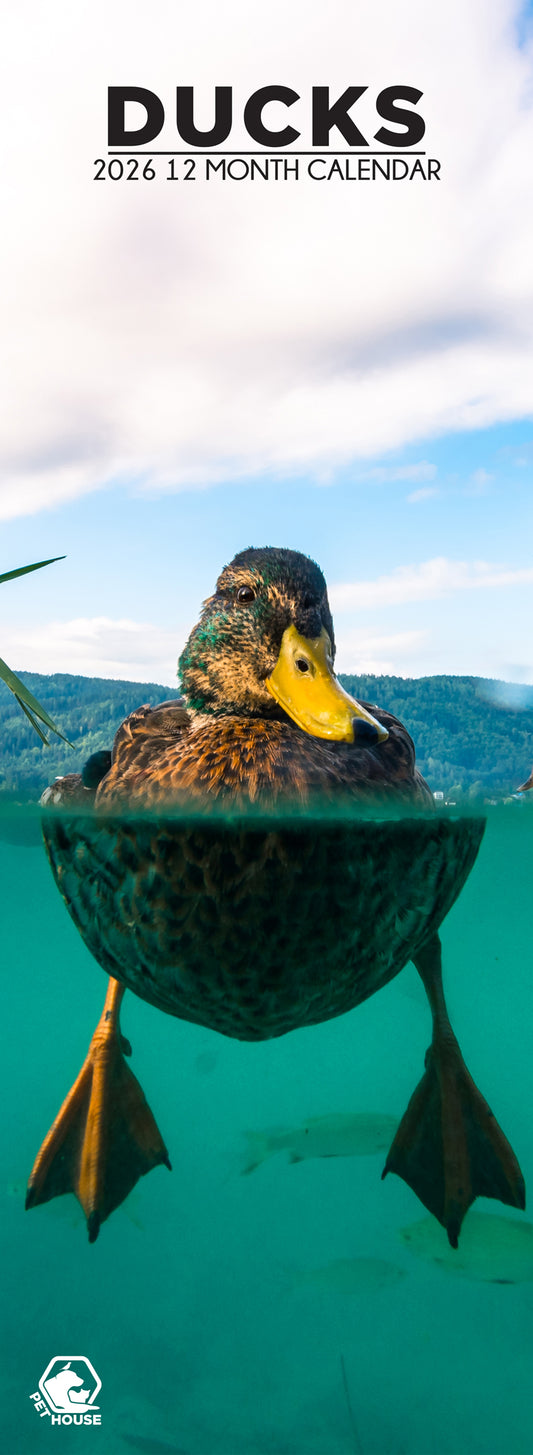 Ducks - Slim Calendar 2026
