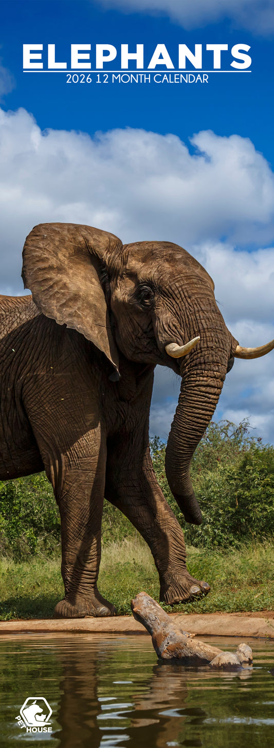 Elephants - Slim Calendar 2026