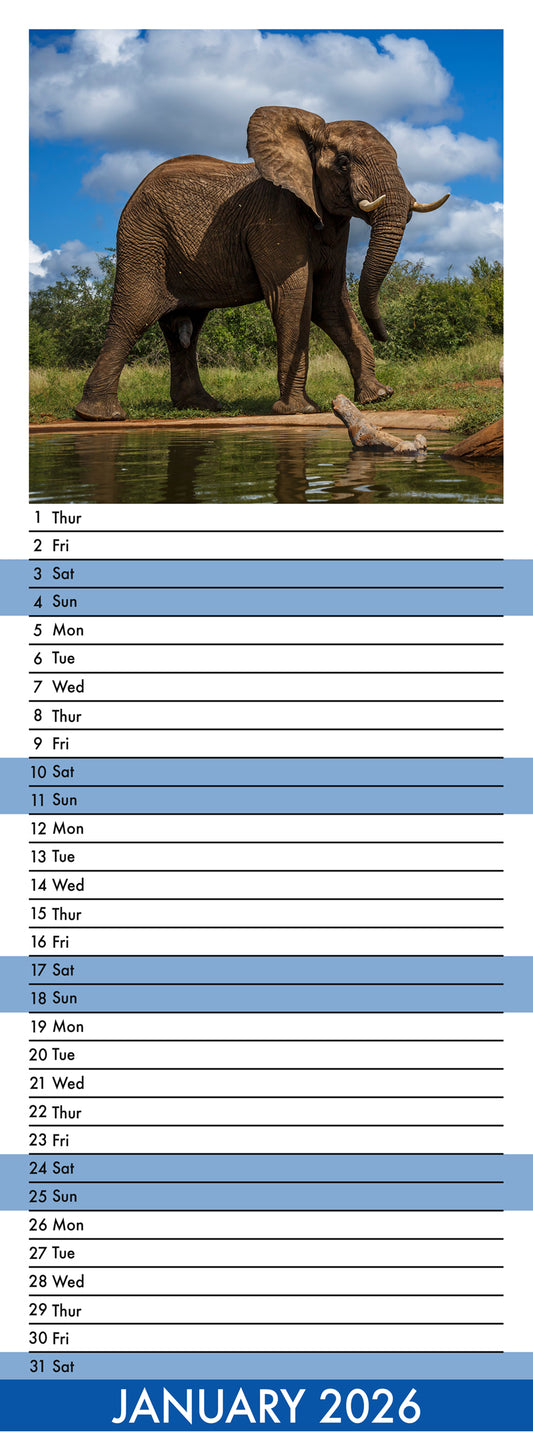 Elephants - Slim Calendar 2026