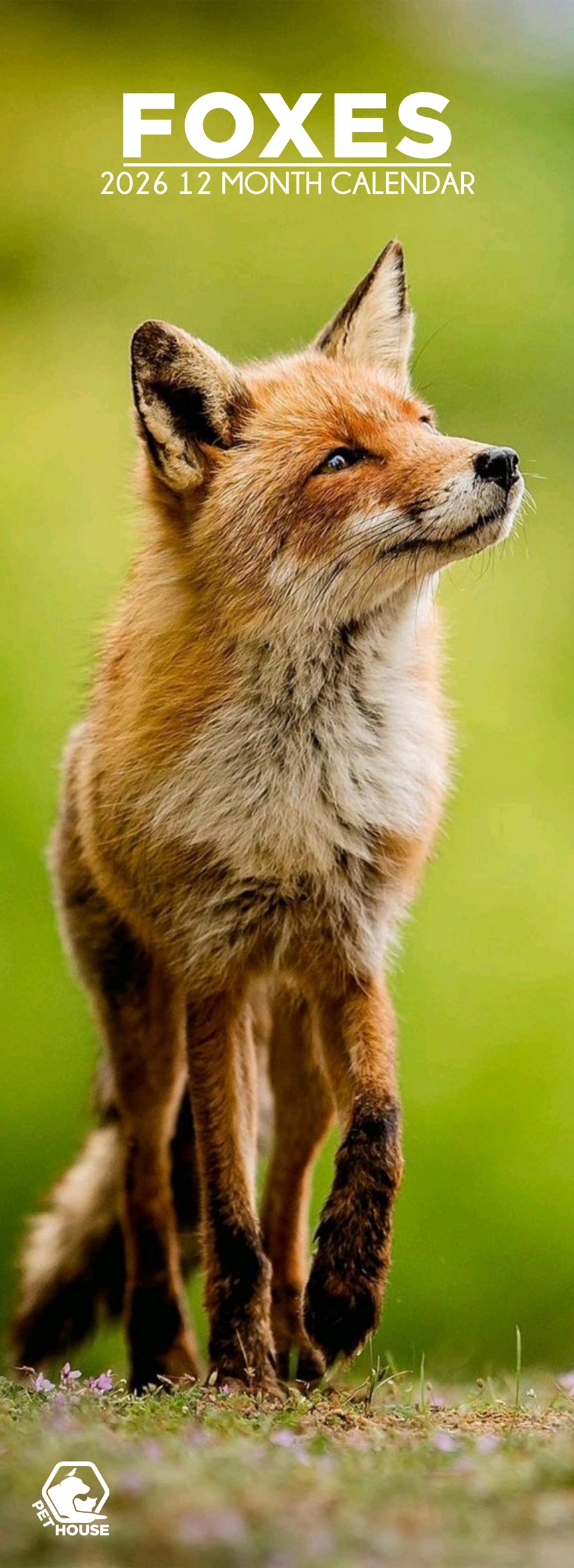 Foxes - Slim Calendar 2026