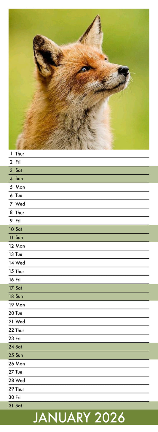 Foxes - Slim Calendar 2026
