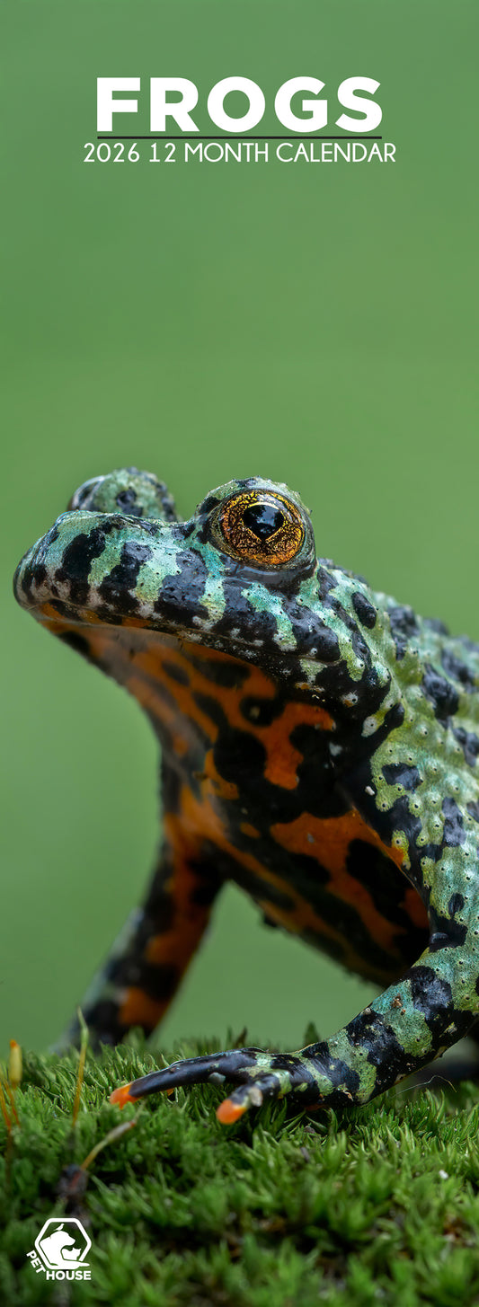 Frogs - Slim Calendar 2026