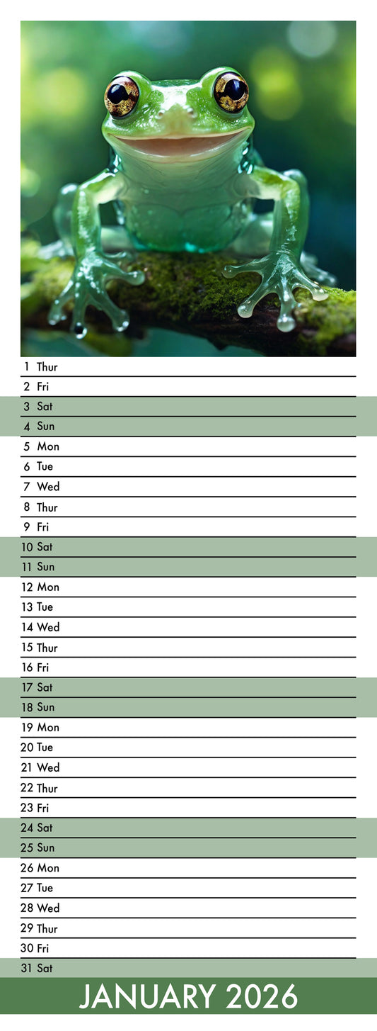 Frogs - Slim Calendar 2026