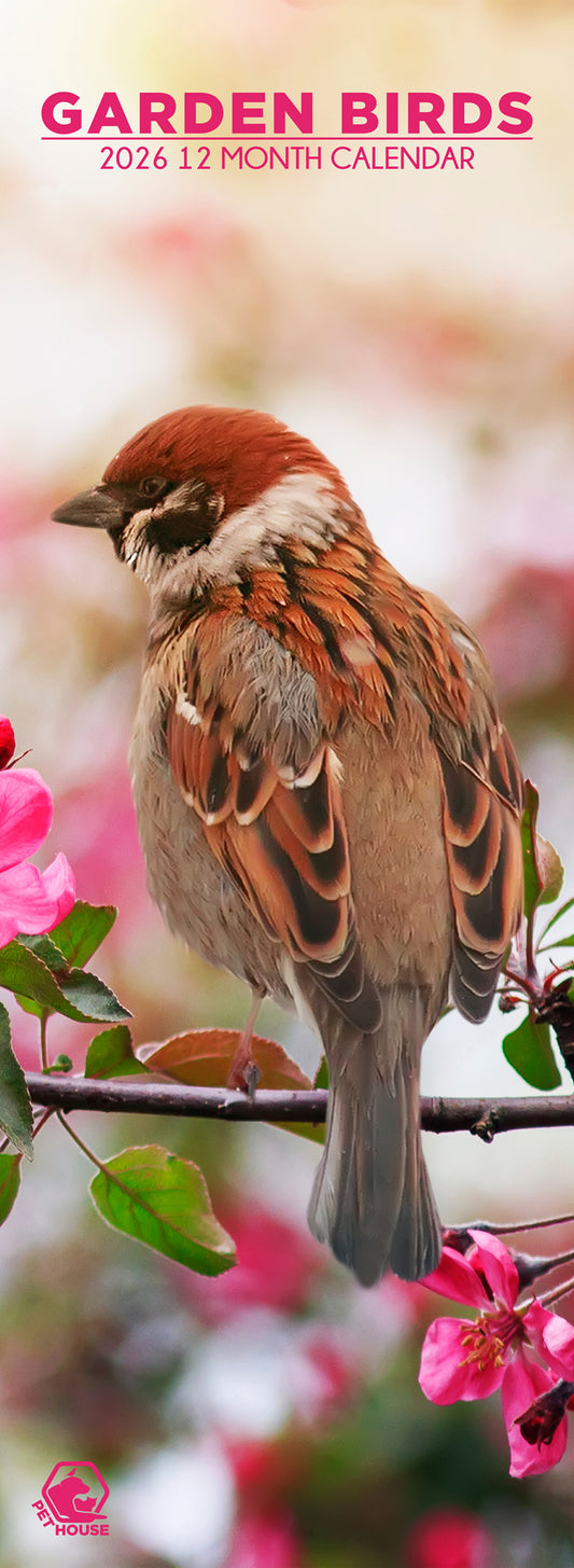 Garden Birds - Slim Calendar 2026