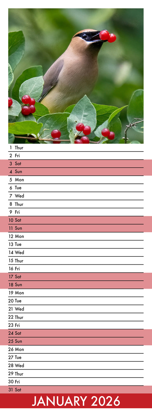 Garden Birds - Slim Calendar 2026