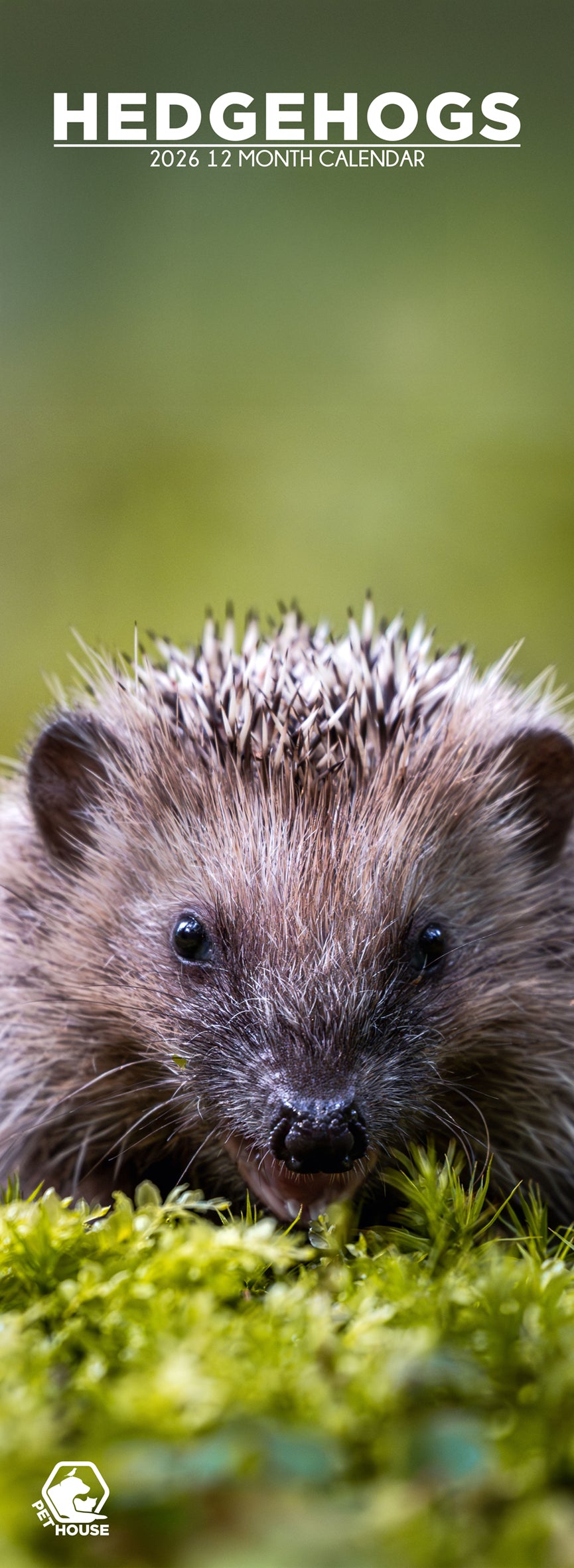 Hedgehogs - Slim Calendar 2026