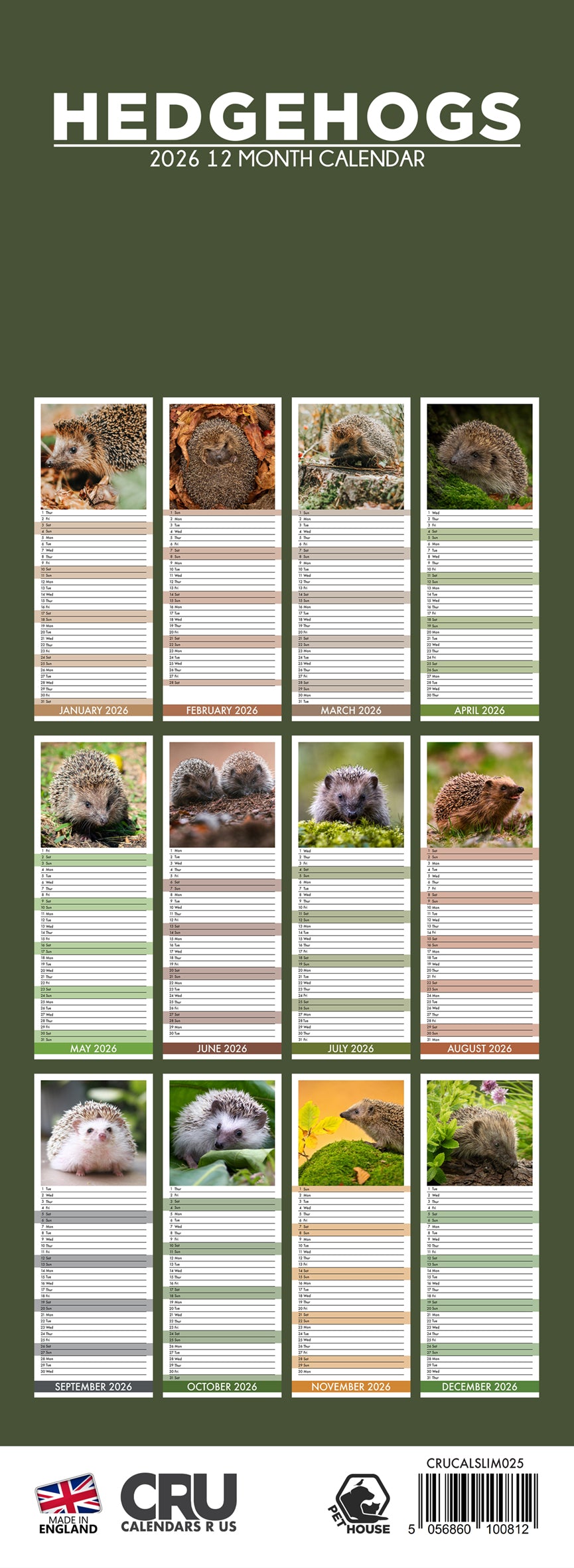 Hedgehogs - Slim Calendar 2026