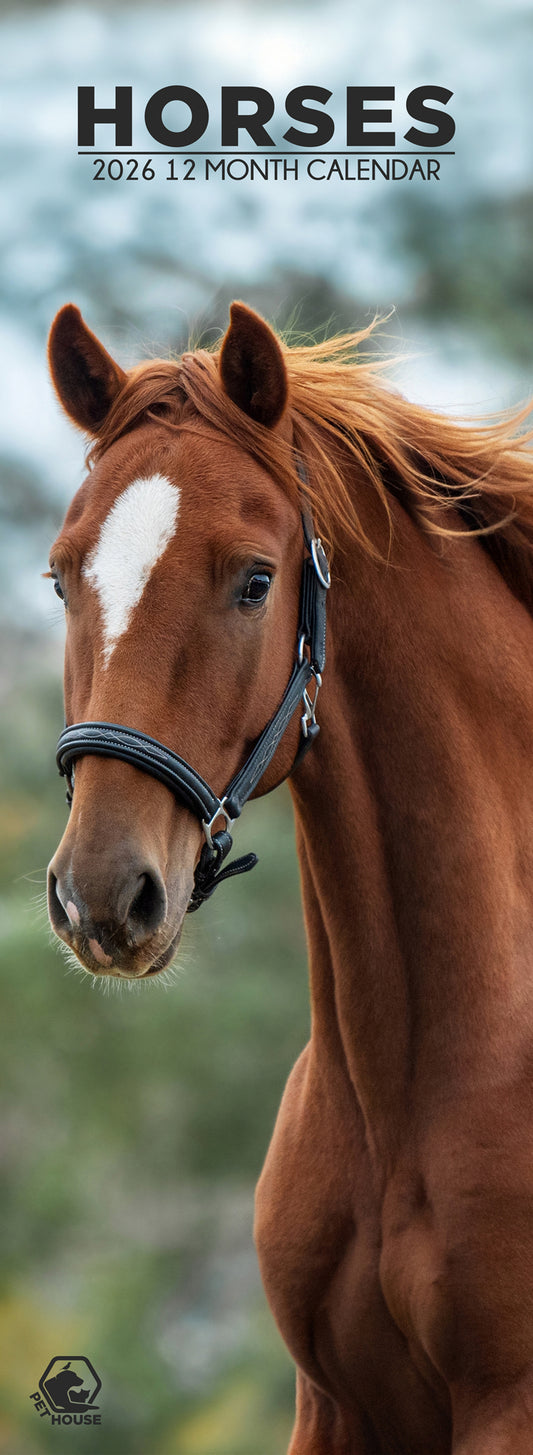 Horses - Slim Calendar 2026