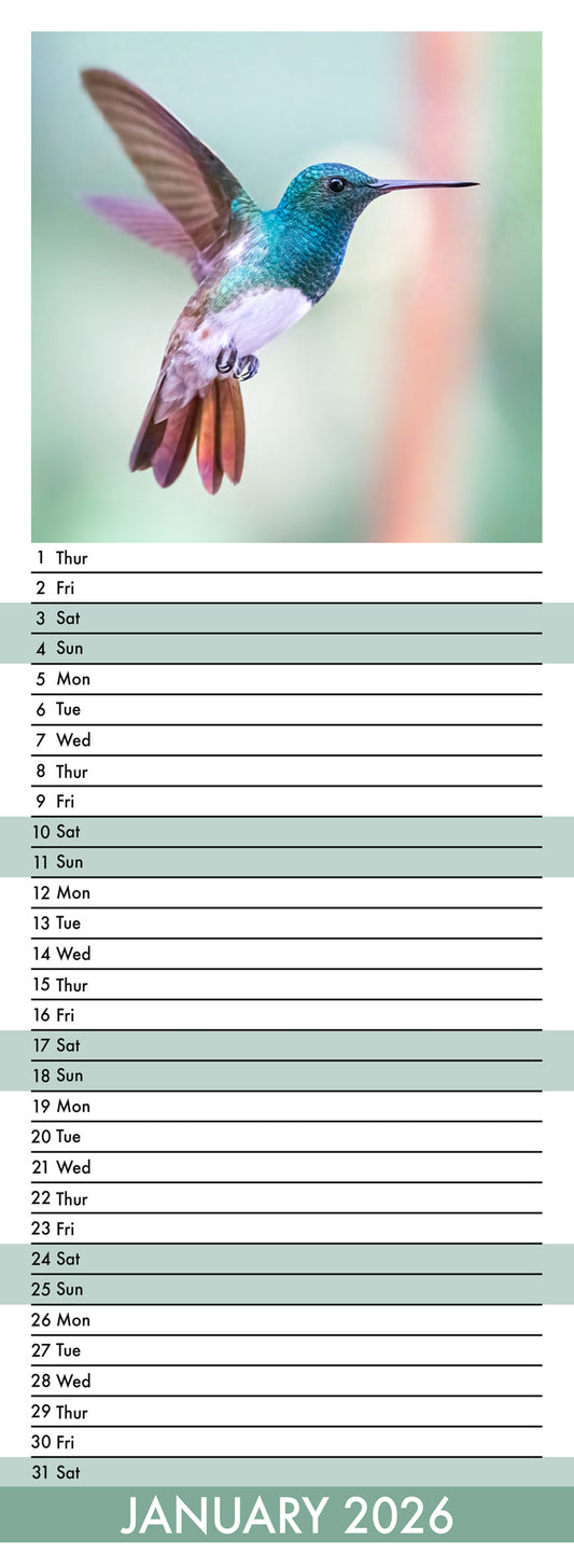 Hummingbirds - Slim Calendar 2026