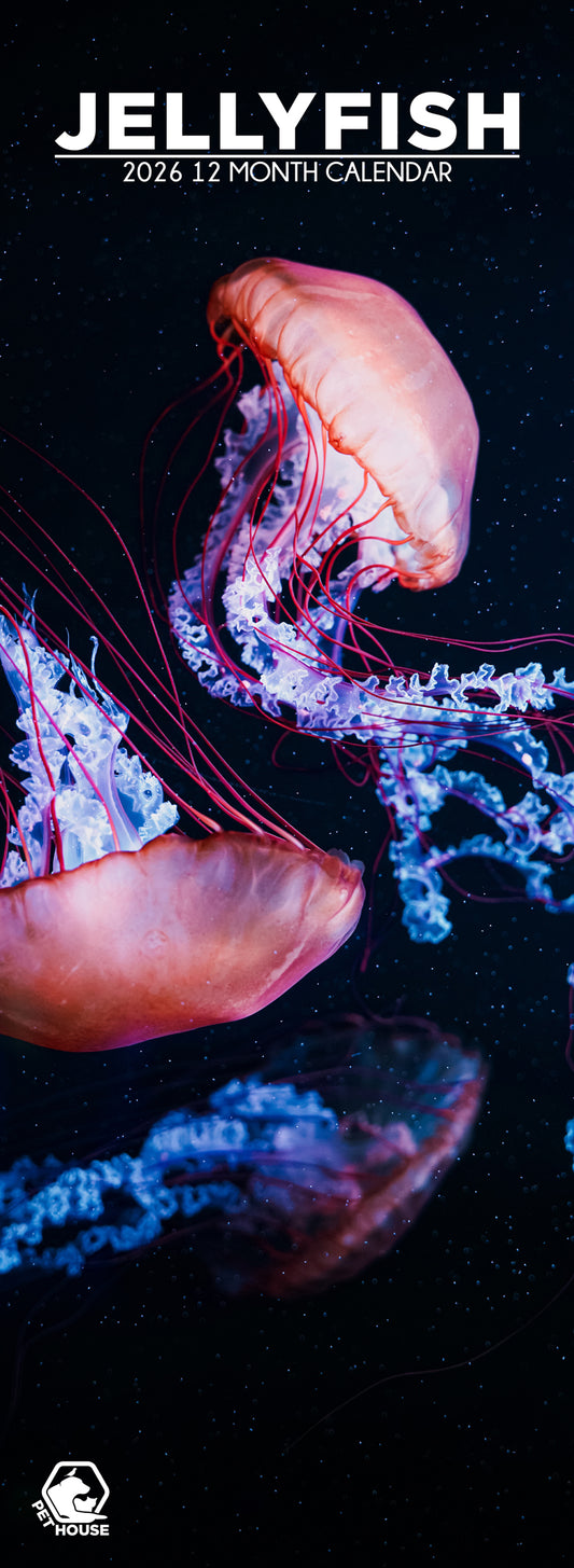 Jellyfish - Slim Calendar 2026