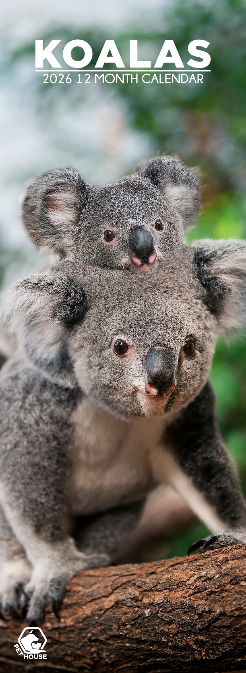 Koalas - Slim Calendar 2026