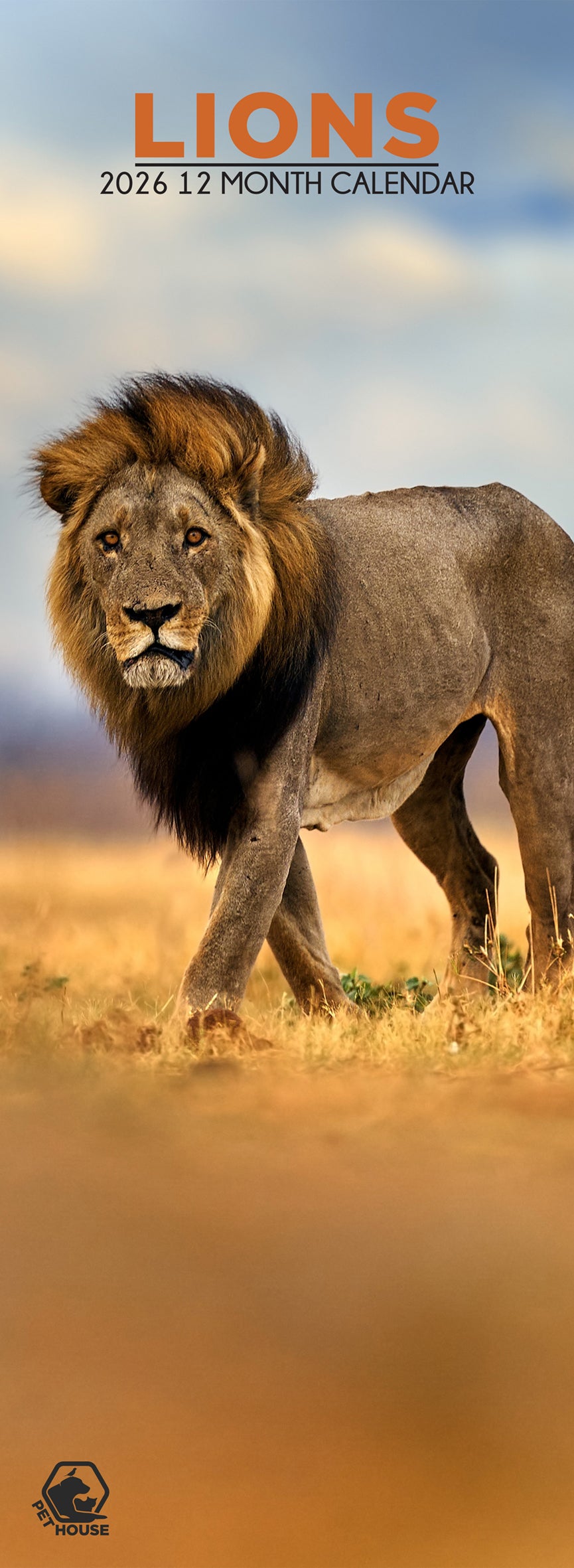 Lions - Slim Calendar 2026