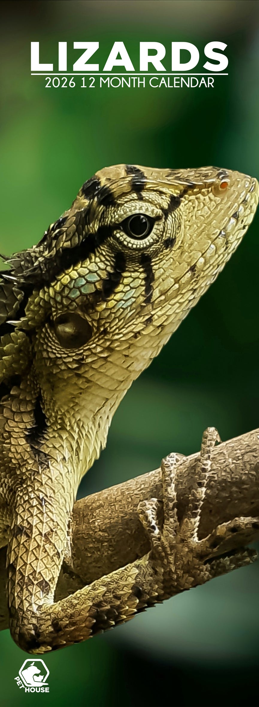 Lizards - Slim Calendar 2026