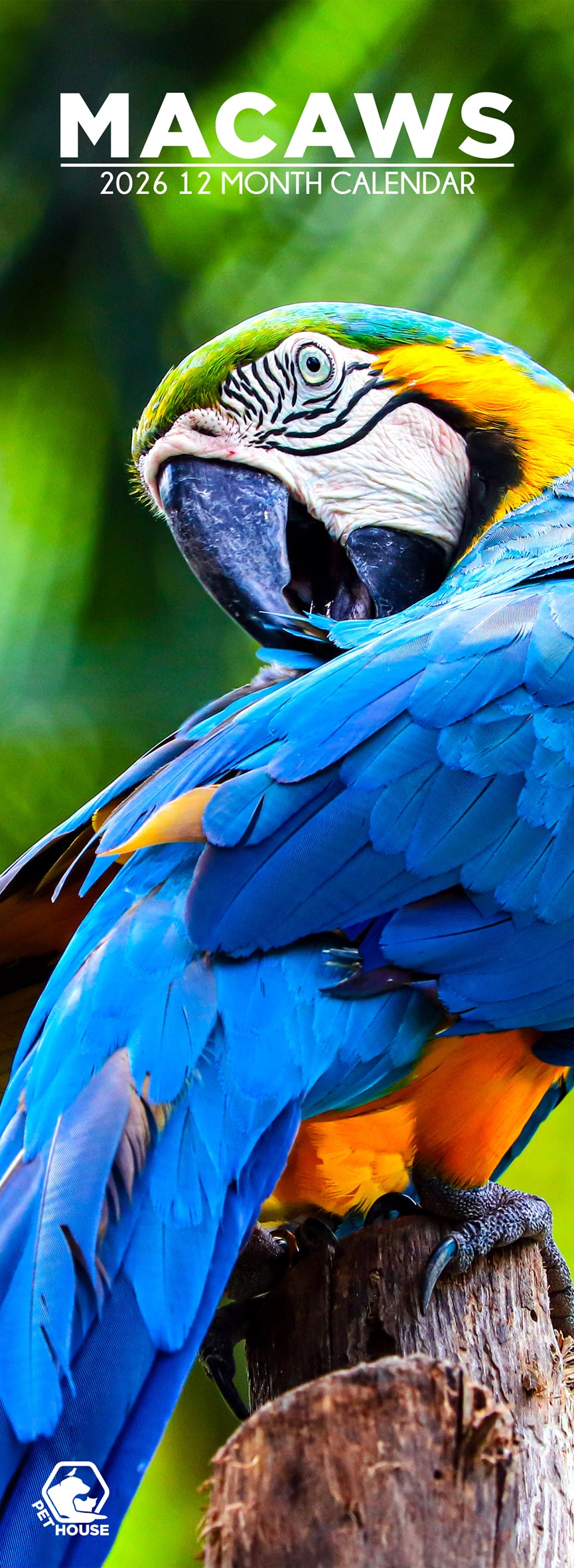 Macaws - Slim Calendar 2026