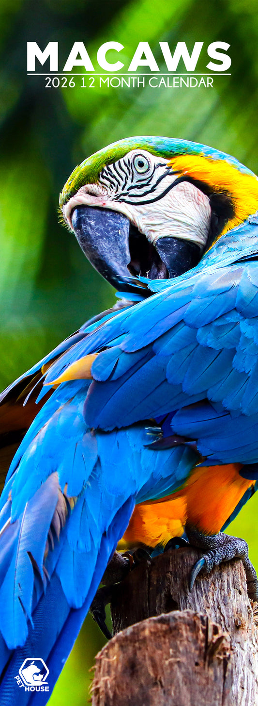 Macaws - Slim Calendar 2026